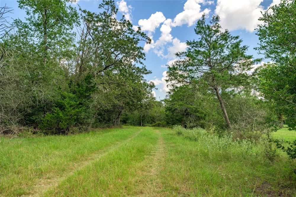 4900 Andreas Road Round Top, TX 78954