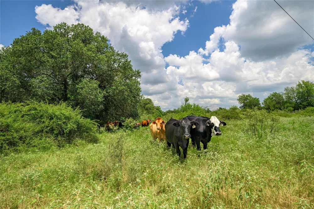 4900 Andreas Road Round Top, TX 78954