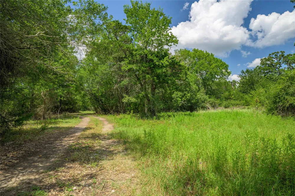 4900 Andreas Road Round Top, TX 78954