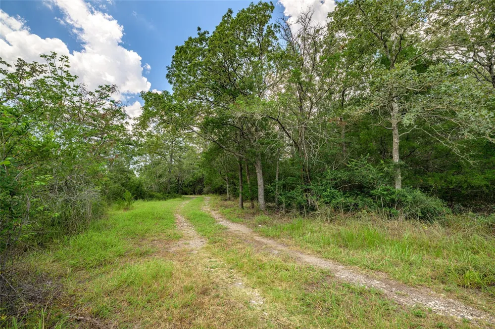 4900 Andreas Road Round Top, TX 78954