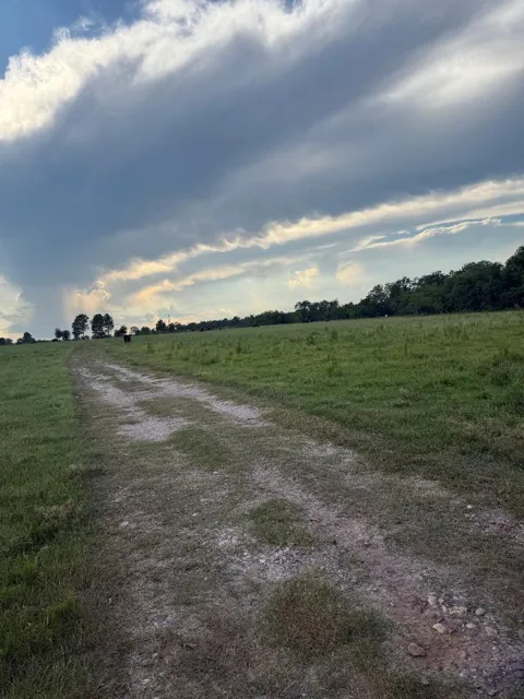 25704 Fm 1736