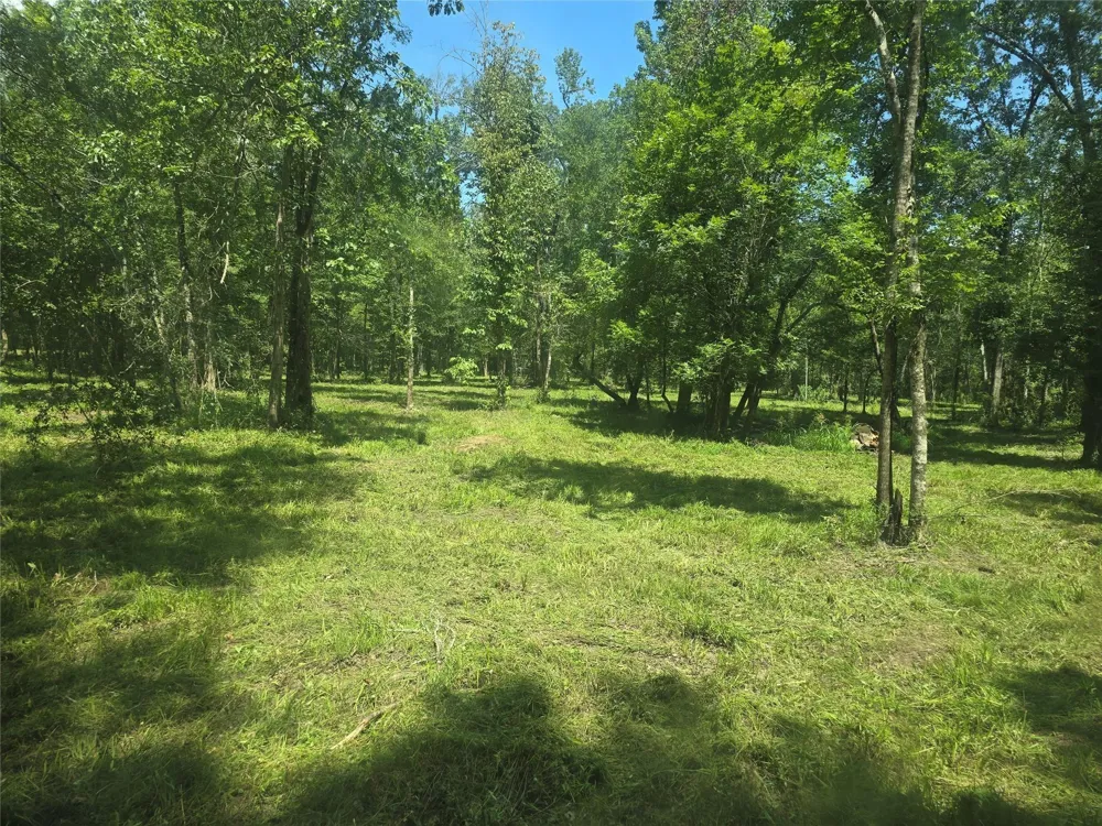 Tymel Lane Cleveland, TX 77328