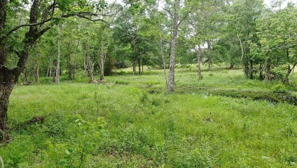 Tymel Lane Cleveland, TX 77328