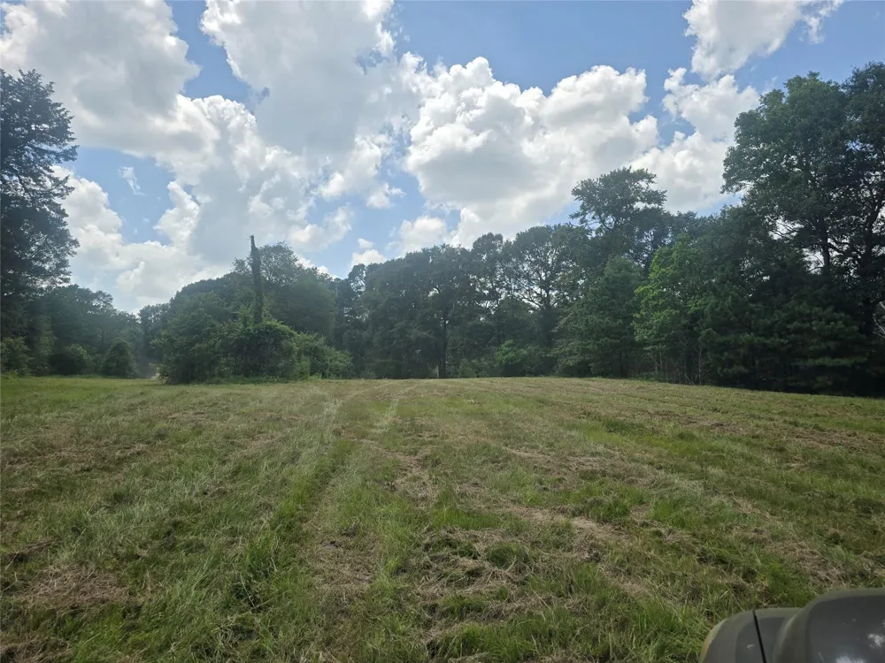 Tymel Lane Cleveland, TX 77328