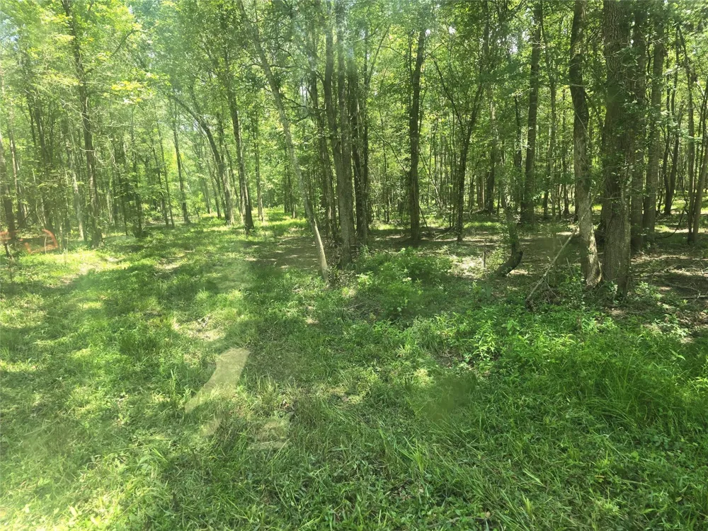 Tymel Lane Cleveland, TX 77328