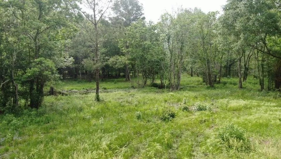 Tymel Lane Cleveland, TX 77328