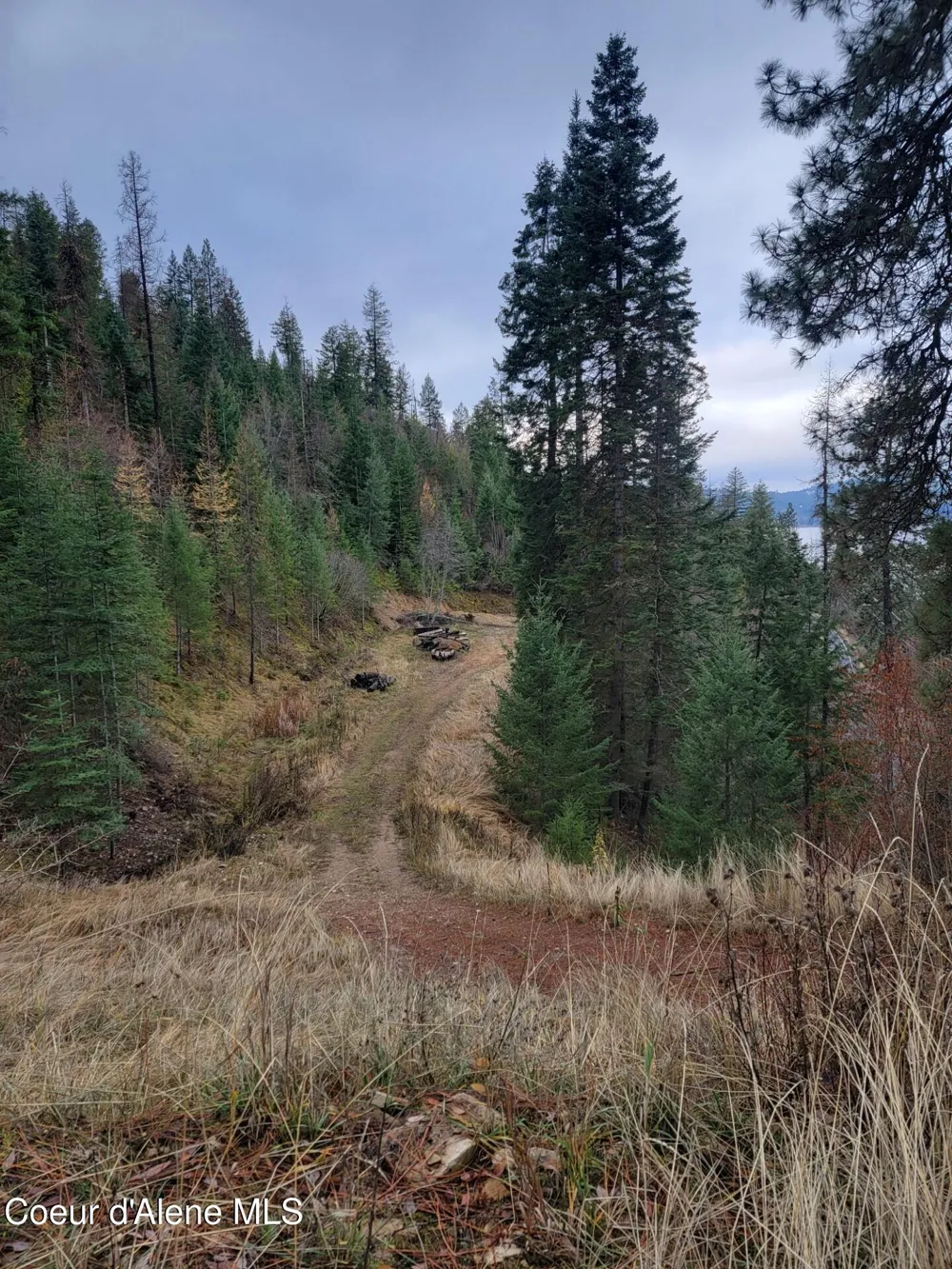 37244 s hwy 97 Harrison, ID 83833