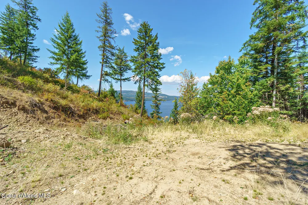 37244 s hwy 97 Harrison, ID 83833