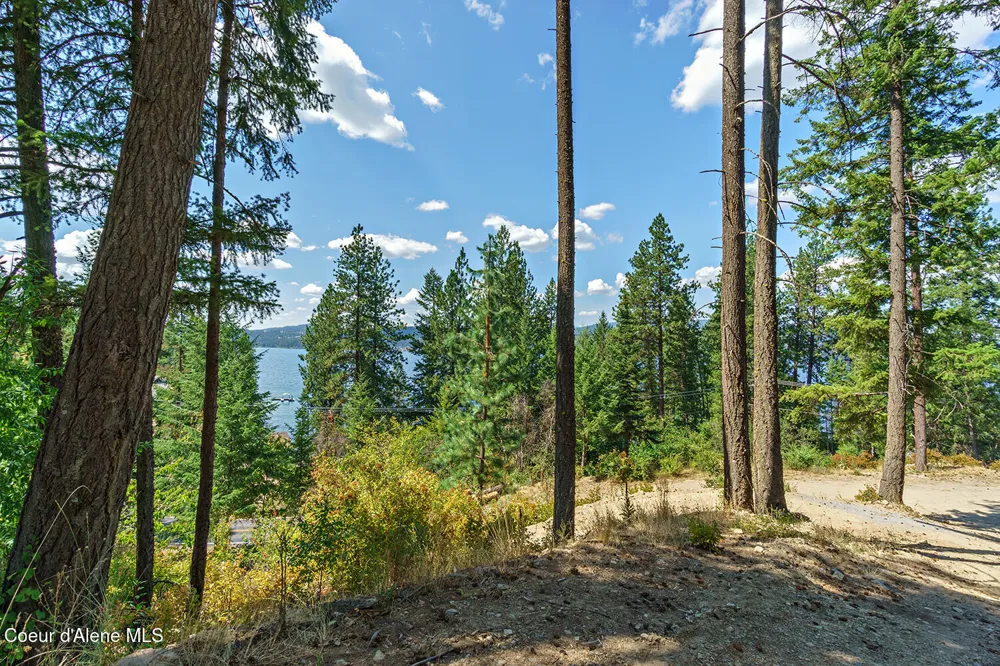 37244 s hwy 97 Harrison, ID 83833