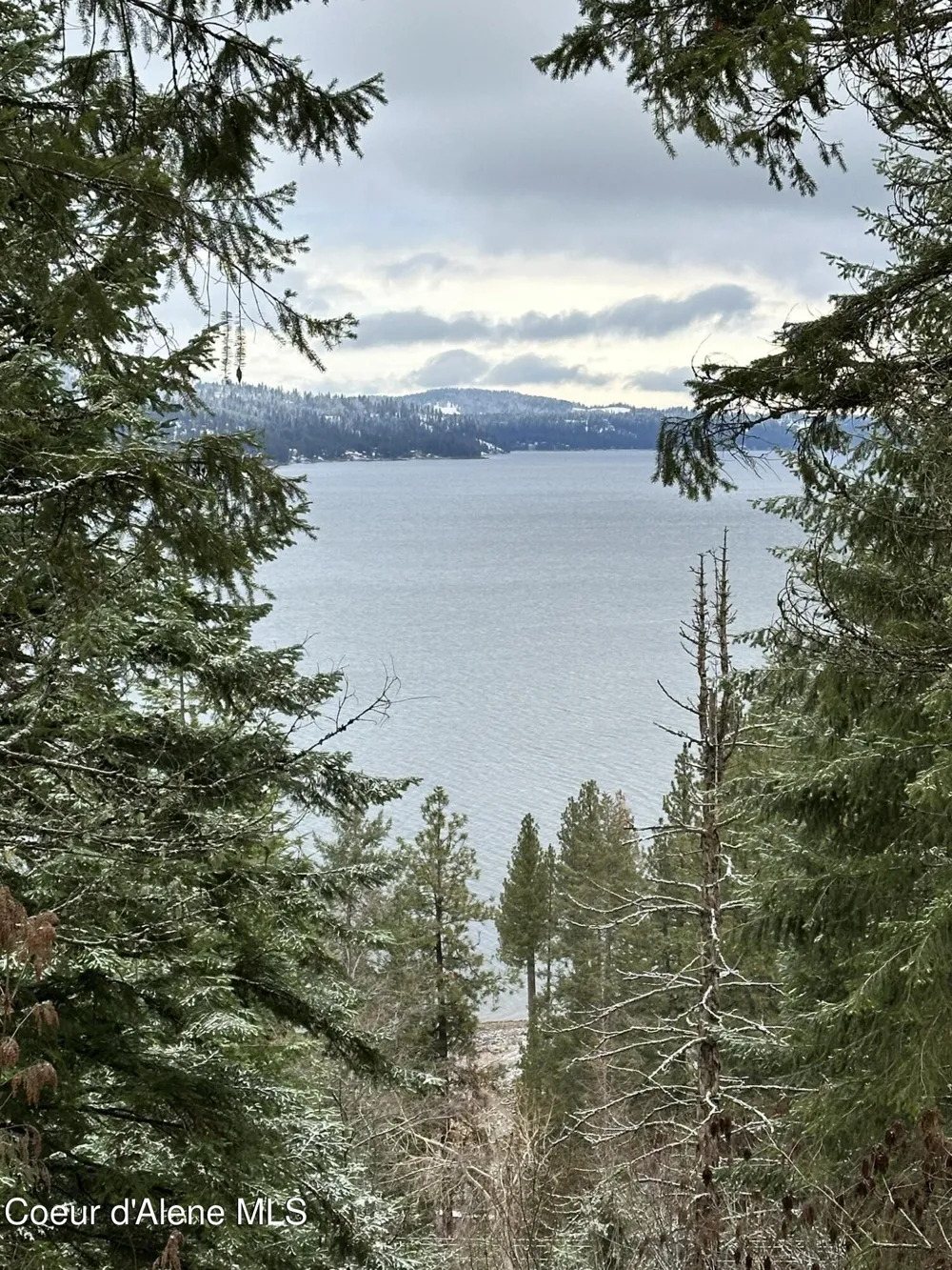 37244 s hwy 97 Harrison, ID 83833