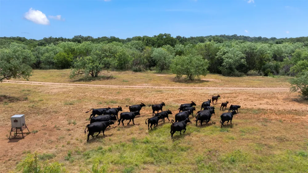 24434 E Highway 71 Horseshoe Bay, TX 78657