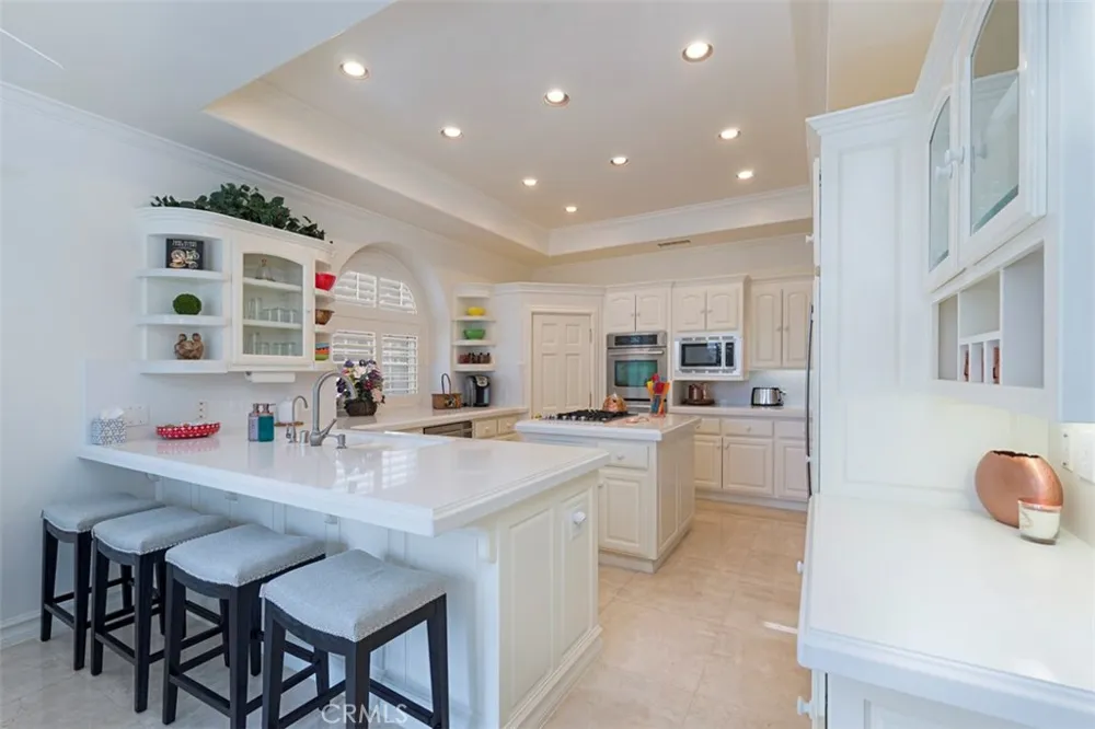 97 Ritz Cove Drive Dana Point, CA 92629