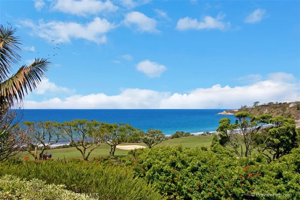 97 Ritz Cove Drive Dana Point, CA 92629