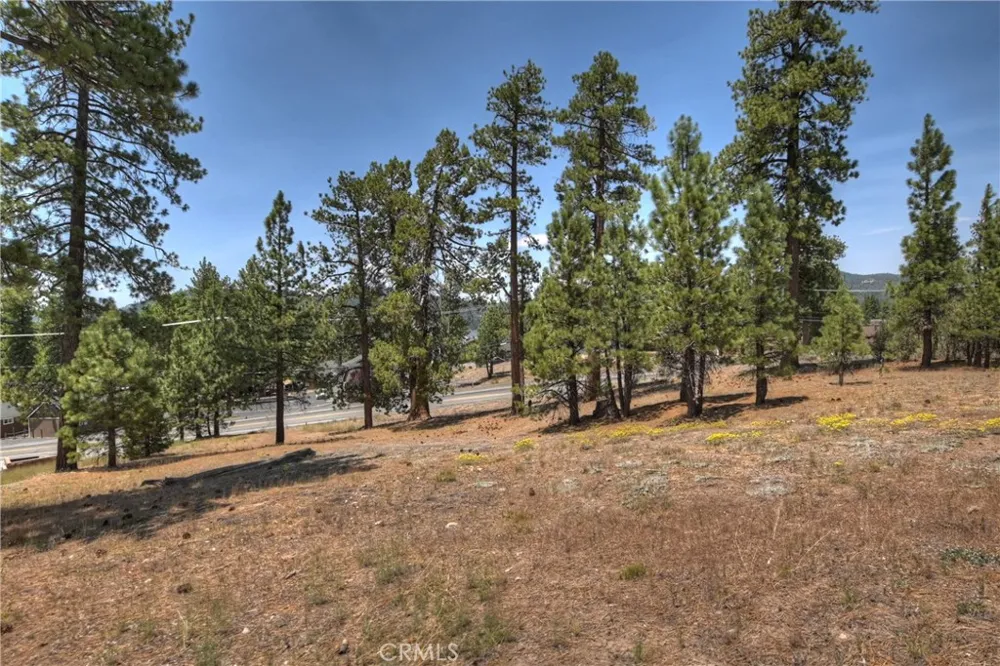Big Bear Boulevard Big Bear Lake, CA 92315