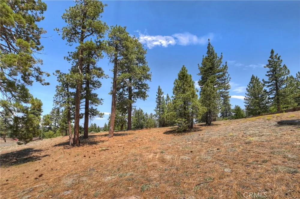 Big Bear Boulevard Big Bear Lake, CA 92315