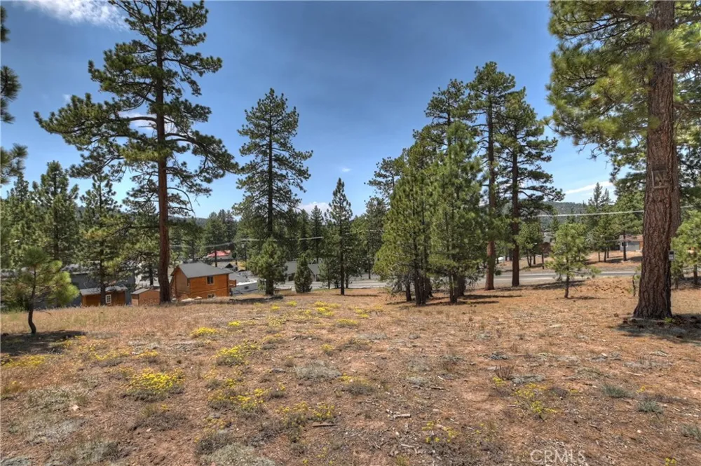 Big Bear Boulevard Big Bear Lake, CA 92315