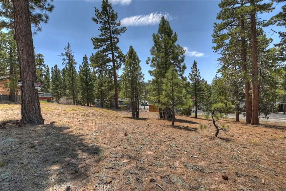 Big Bear Boulevard Big Bear Lake, CA 92315