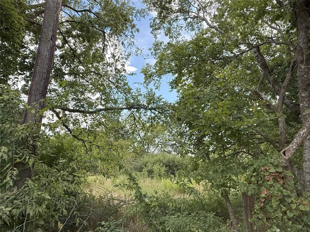 Hanna Street Wolfe City, TX 75496