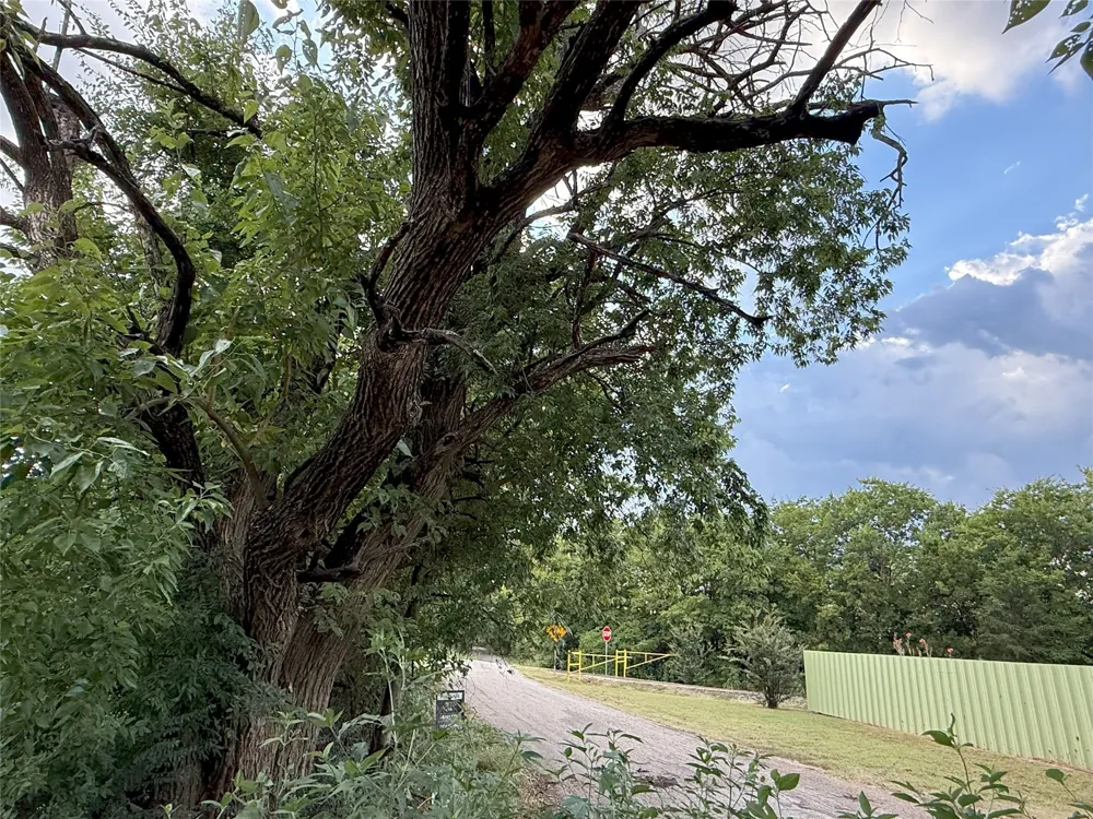 Hanna Street Wolfe City, TX 75496