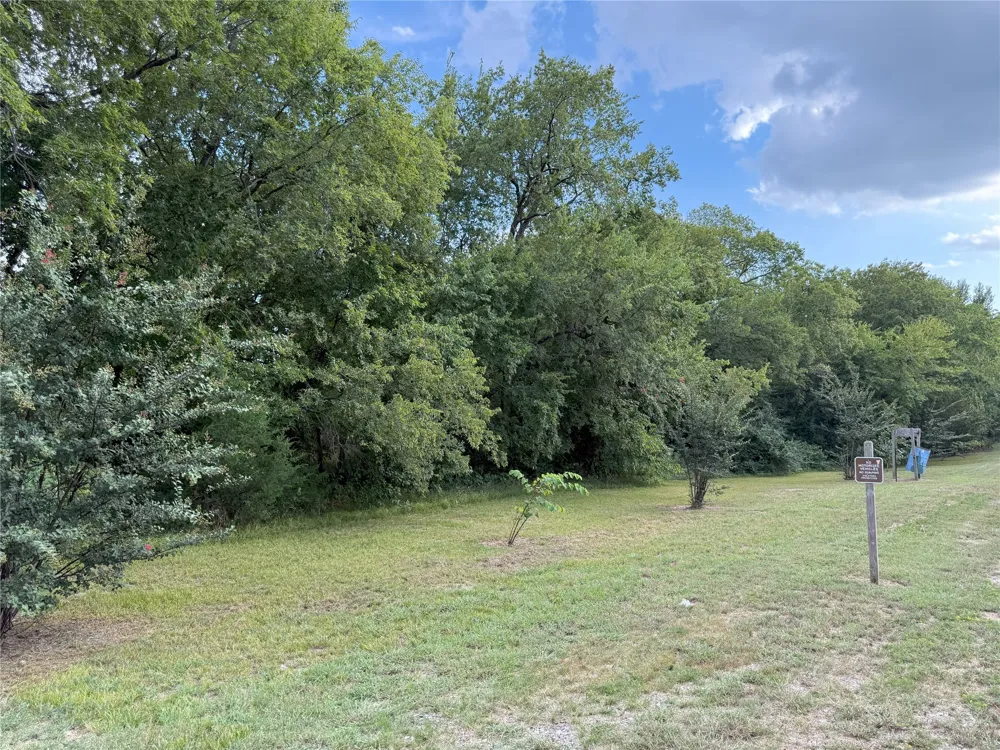 Hanna Street Wolfe City, TX 75496