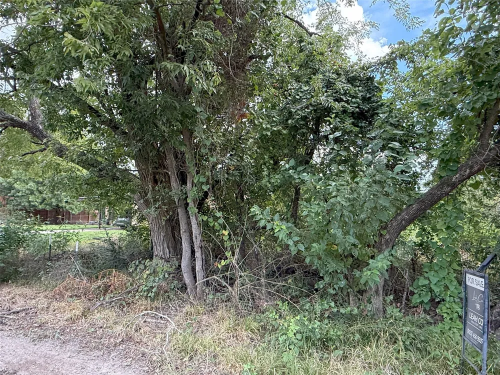 Hanna Street Wolfe City, TX 75496