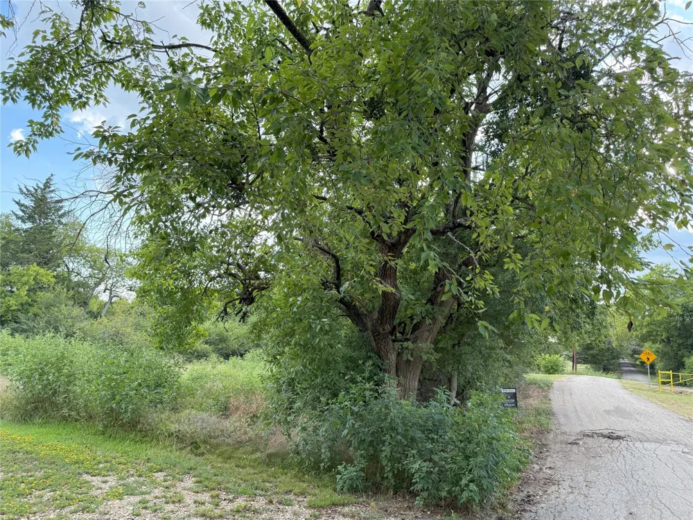 Hanna Street Wolfe City, TX 75496