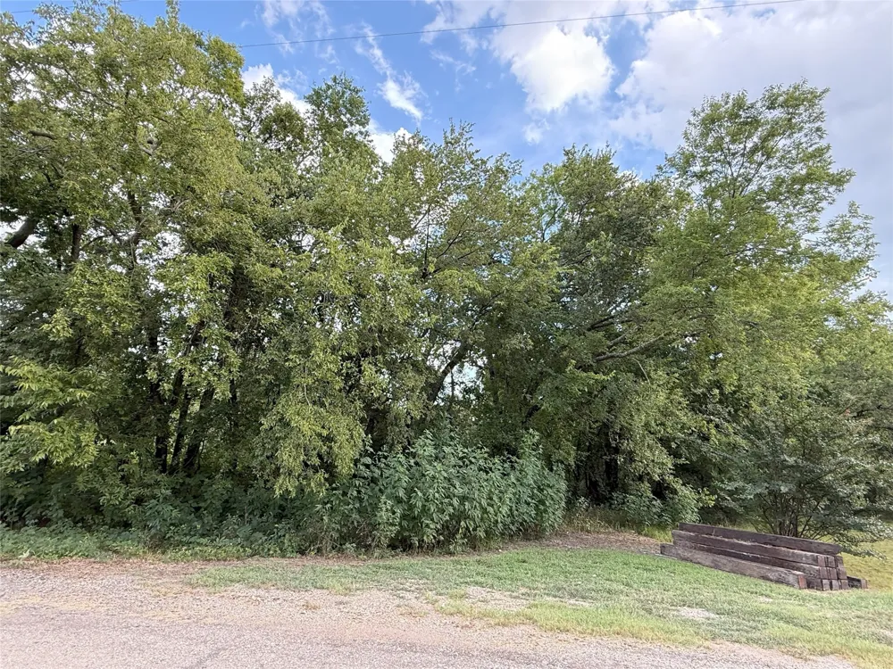 Hanna Street Wolfe City, TX 75496