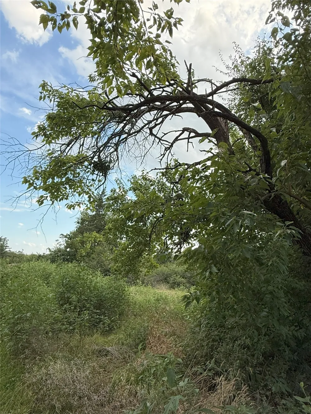 Hanna Street Wolfe City, TX 75496