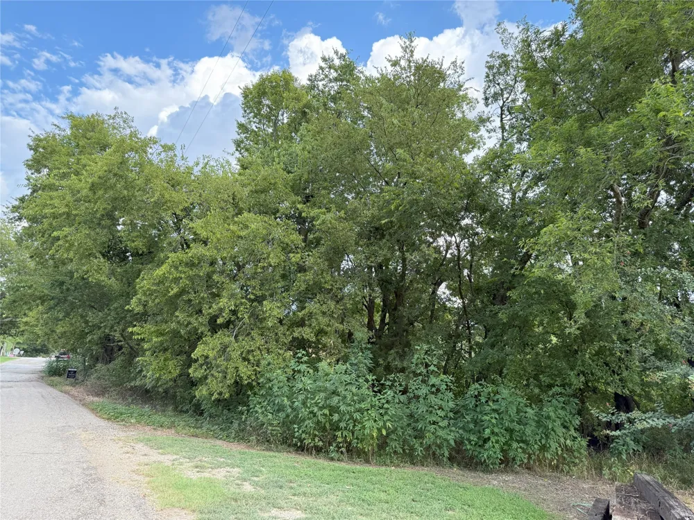 Hanna Street Wolfe City, TX 75496