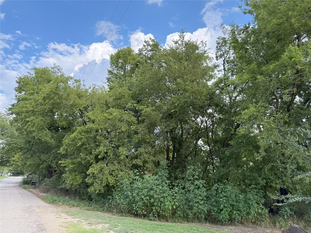 Hanna Street Wolfe City, TX 75496