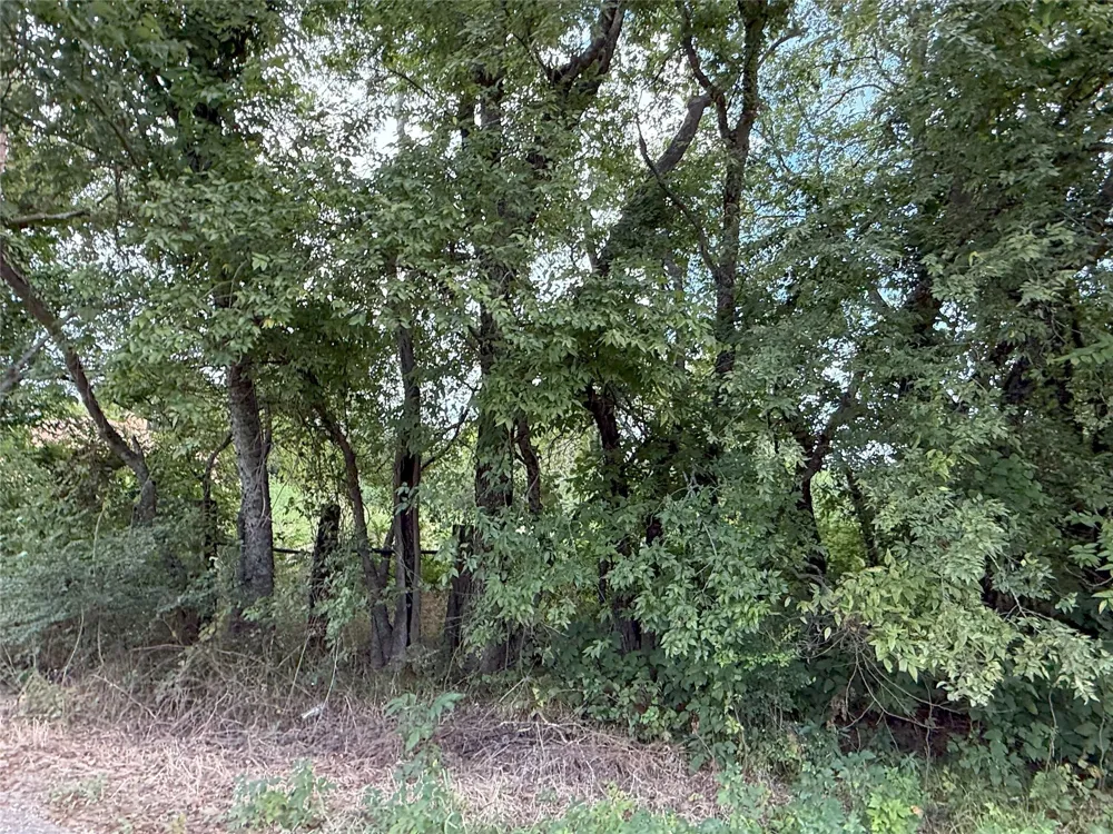Hanna Street Wolfe City, TX 75496