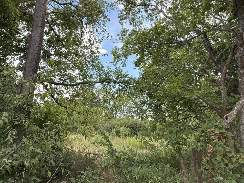 Hanna Street Wolfe City, TX 75496