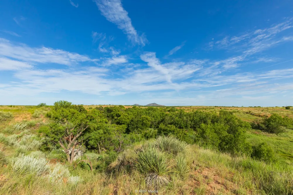 FM 610 Rotan, TX 79546