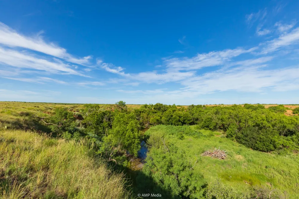 FM 610 Rotan, TX 79546