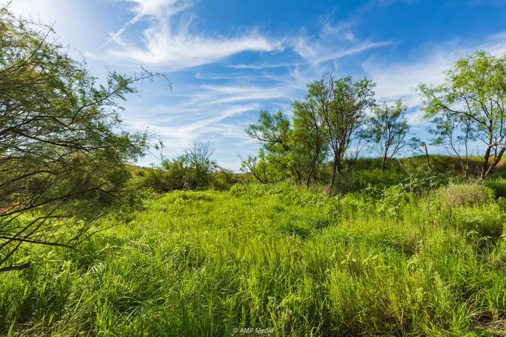 FM 610 Rotan, TX 79546