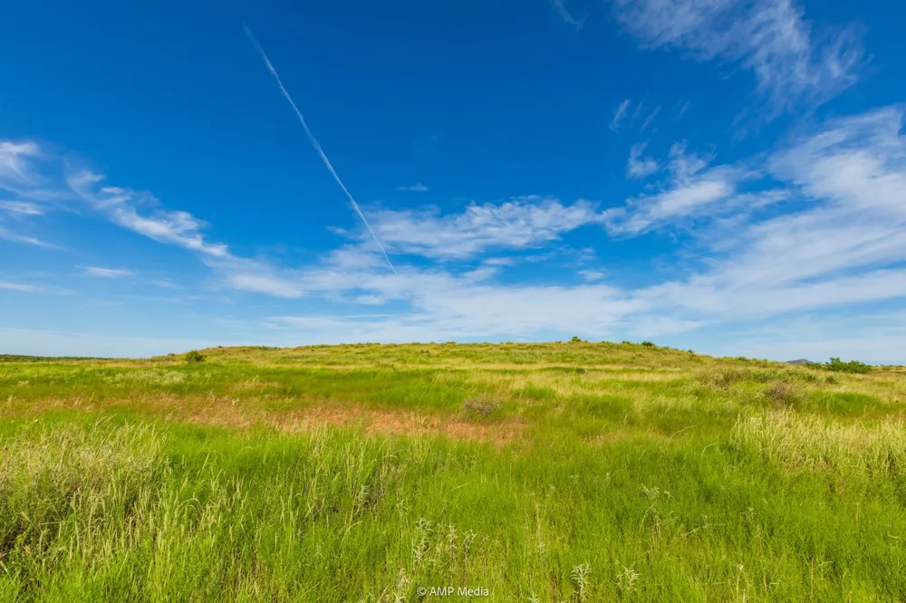 FM 610 Rotan, TX 79546