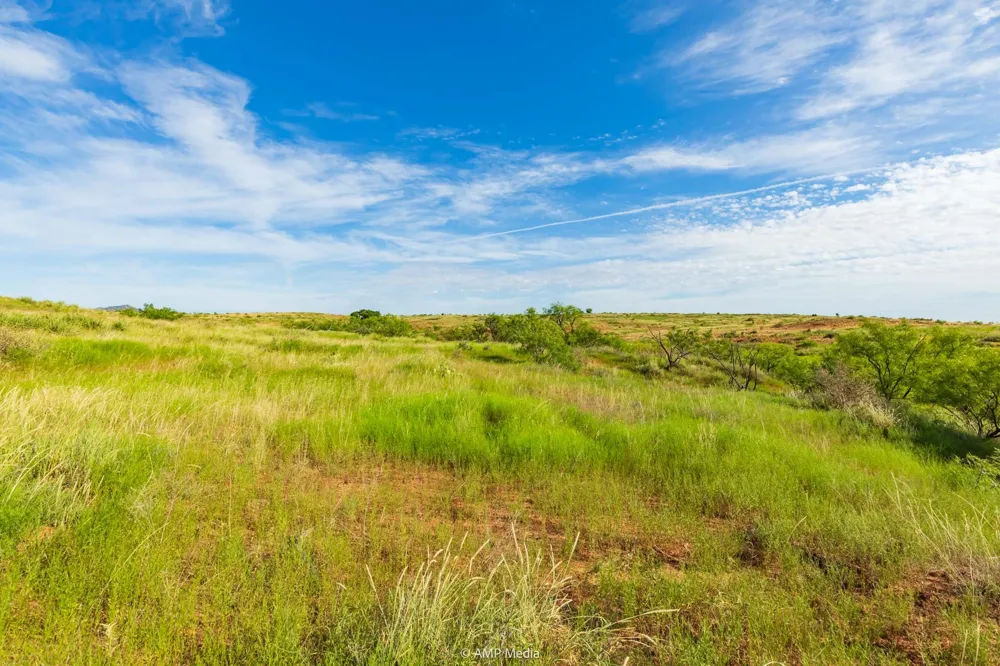 FM 610 Rotan, TX 79546