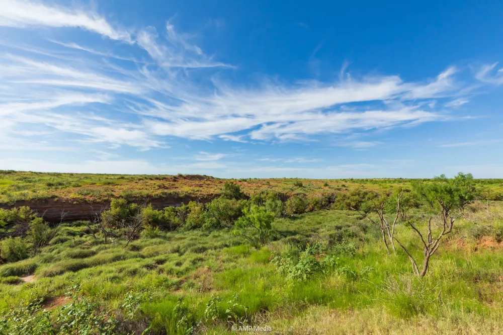 FM 610 Rotan, TX 79546