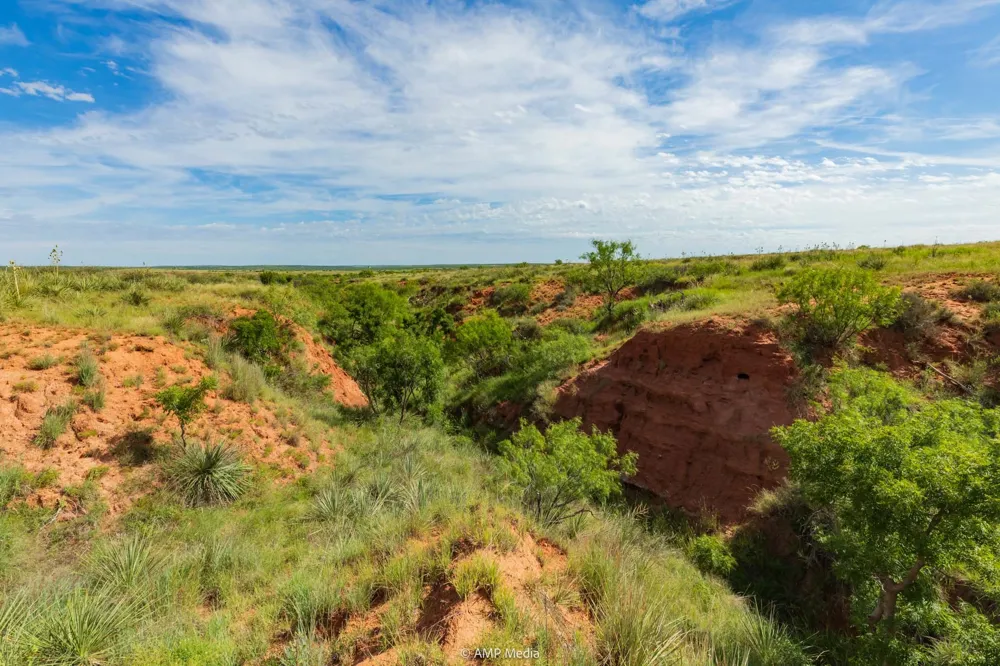 FM 610 Rotan, TX 79546