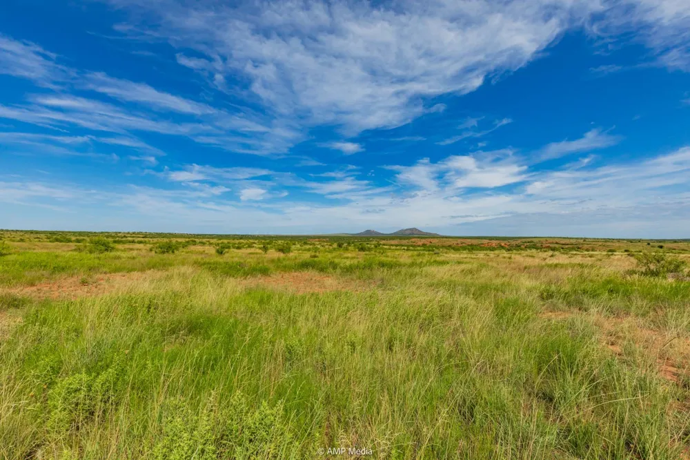 FM 610 Rotan, TX 79546