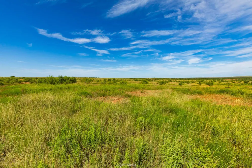 FM 610 Rotan, TX 79546