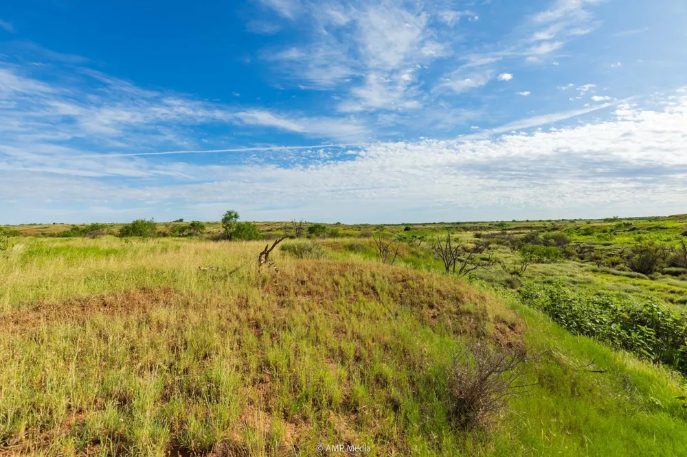 FM 610 Rotan, TX 79546