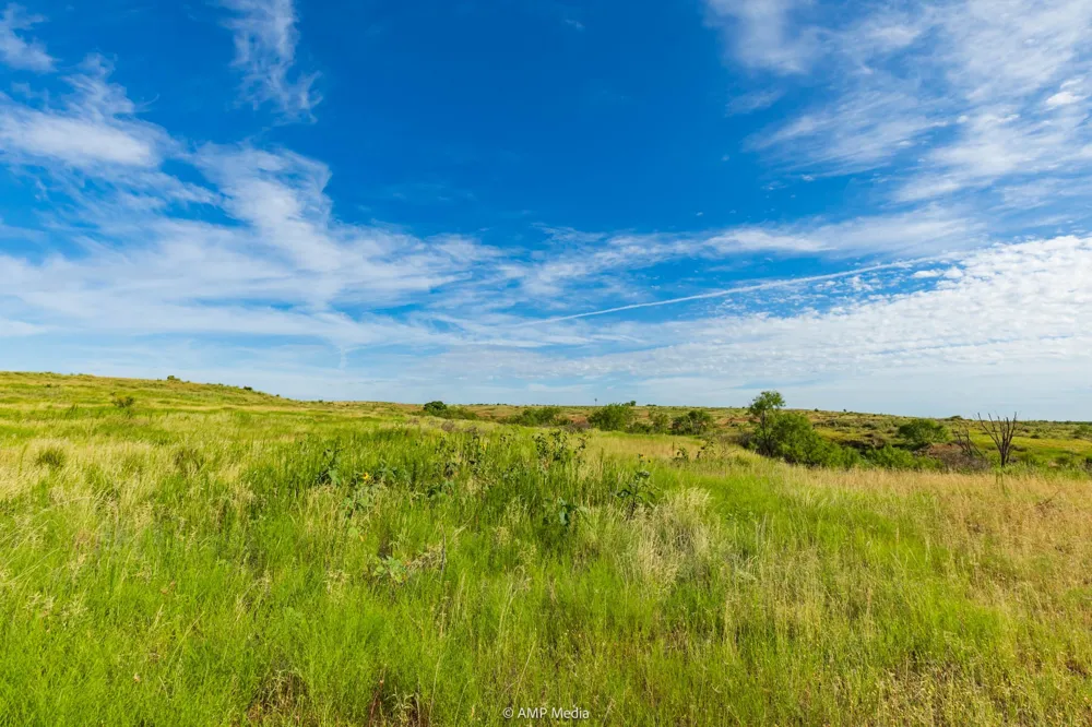 FM 610 Rotan, TX 79546