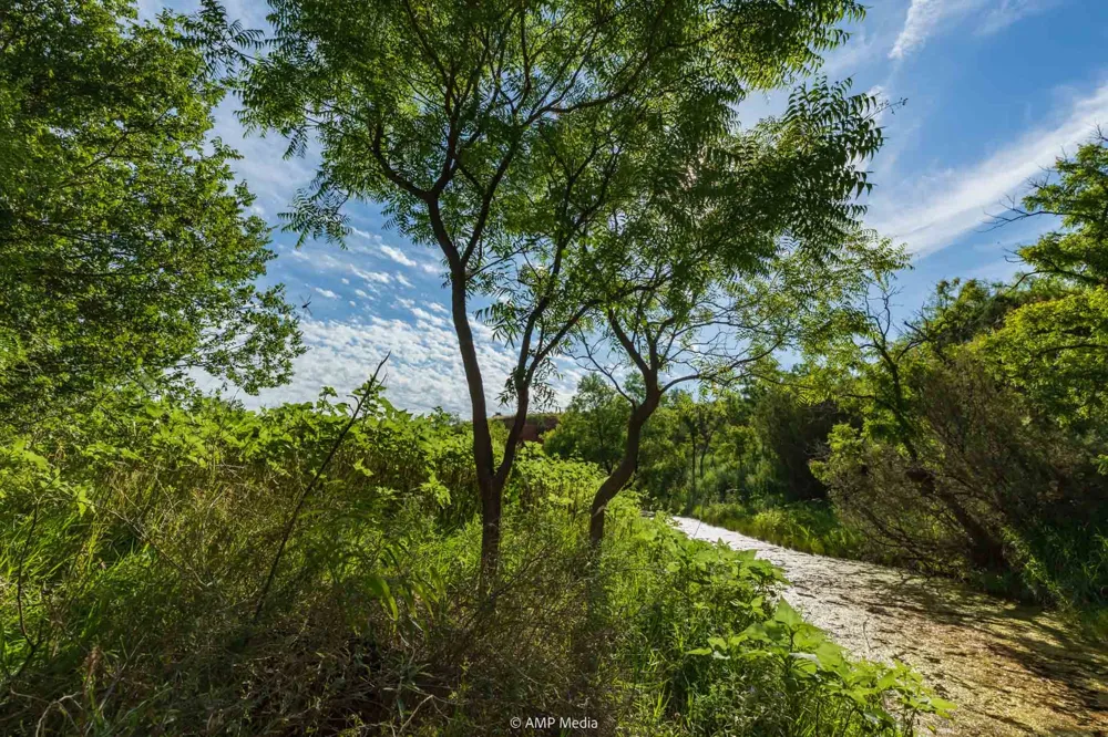FM 610 Rotan, TX 79546
