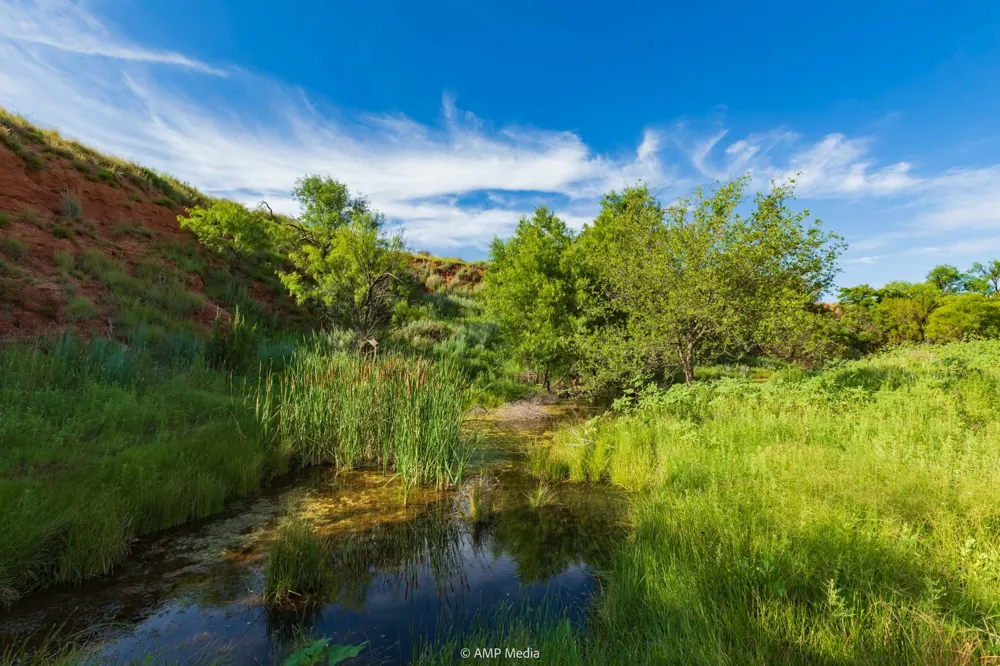 FM 610 Rotan, TX 79546