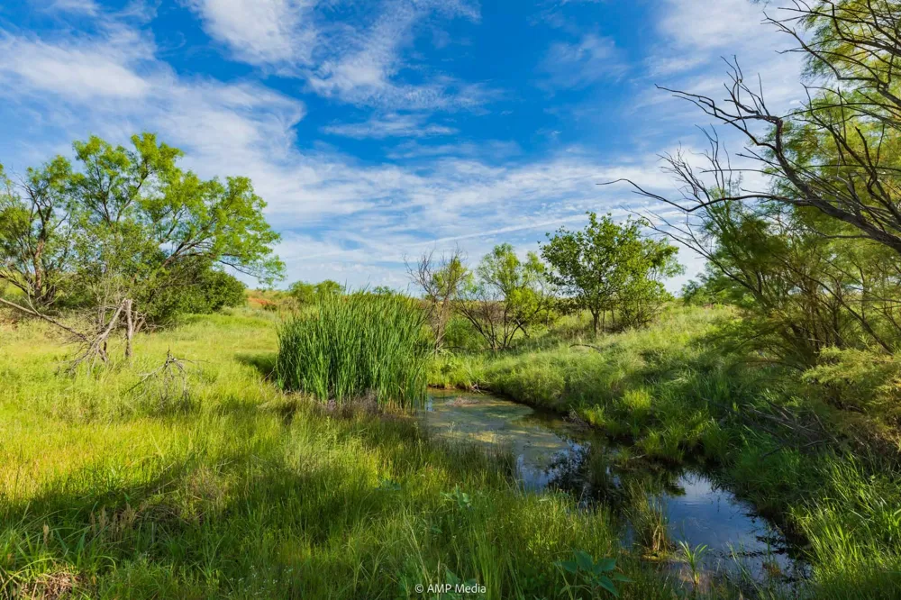 FM 610 Rotan, TX 79546