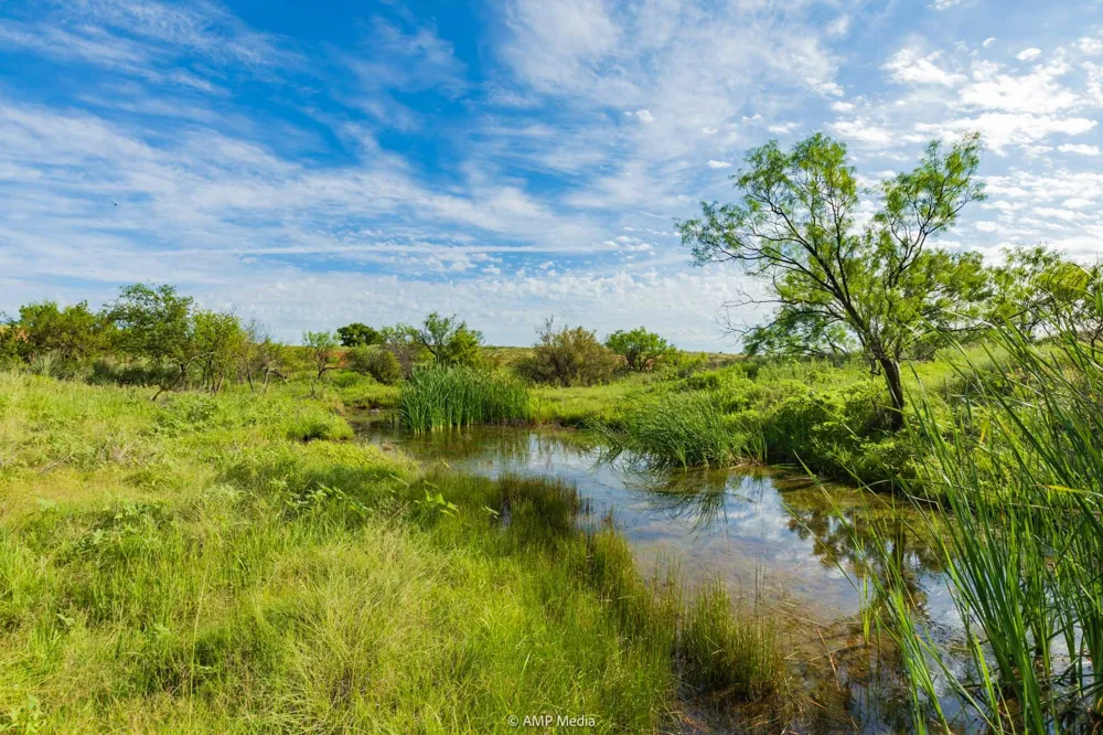 FM 610 Rotan, TX 79546