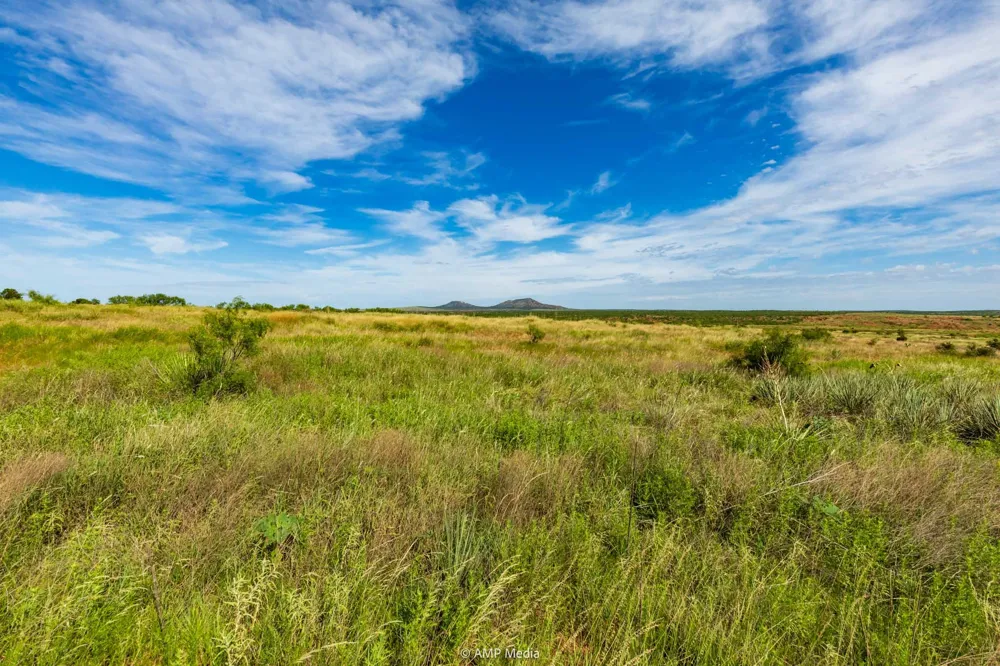 FM 610 Rotan, TX 79546