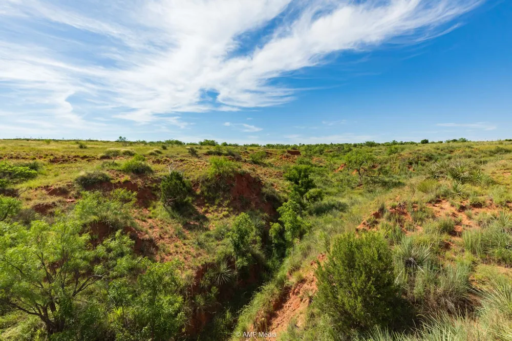 FM 610 Rotan, TX 79546
