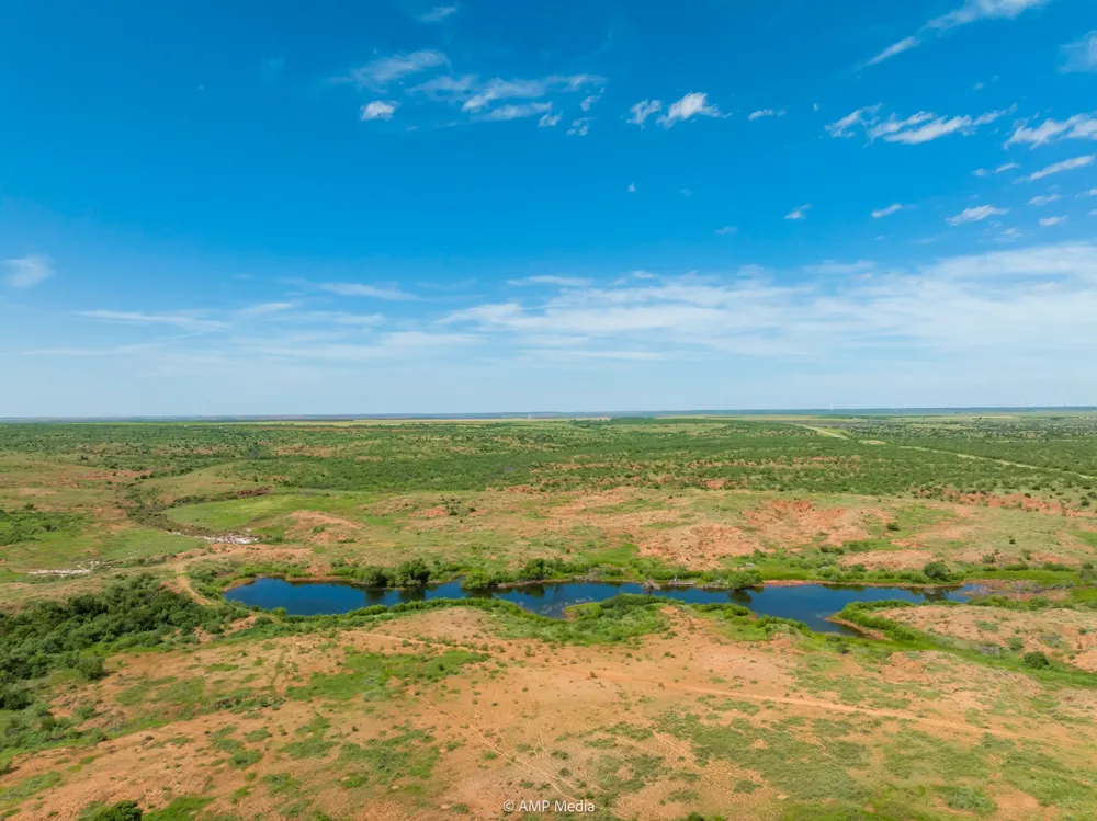 FM 610 Rotan, TX 79546